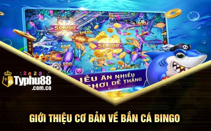 Giới thiệu cơ bản về bắn cá Bingo